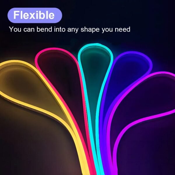 RGB Neon LED Strip 5M